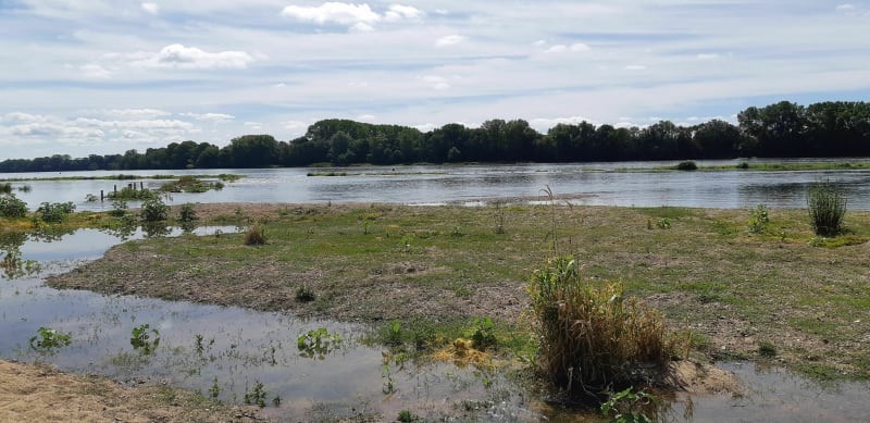 Entre ville et nature - La Possonnière - La Possonnière