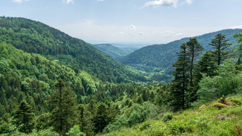 Le sentier des Ecoliers - Haut-du-Them-Château-Lambert
