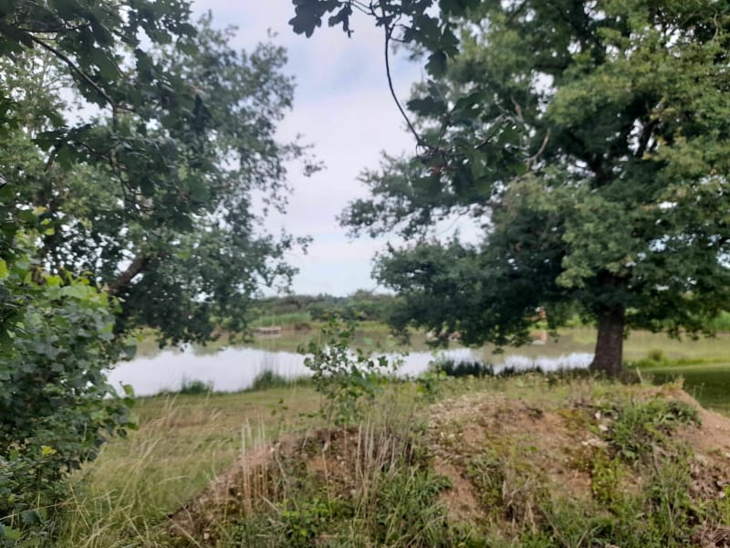 Randonnée à Tour-en-Sologne avec enfant en bas âge - Tour-en-Sologne