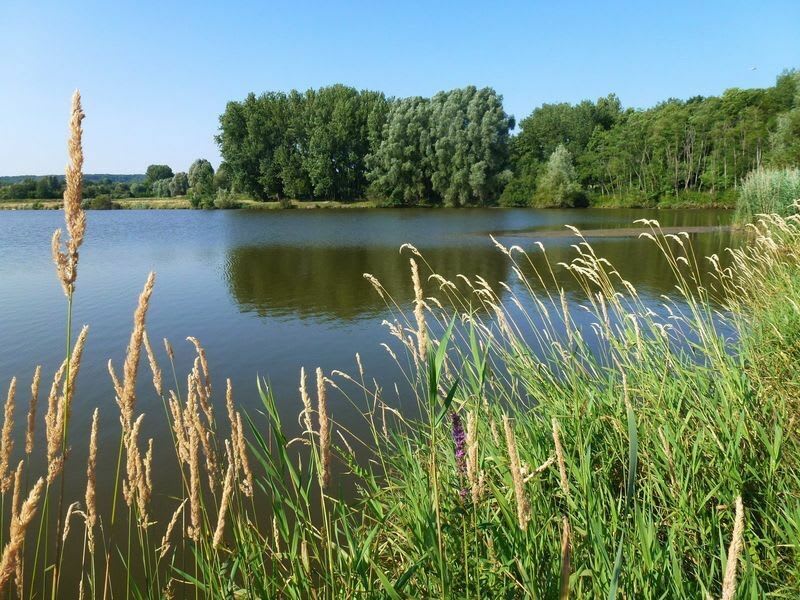 Tour du Lac de Saulx-Les-Chartreux - Longjumeau