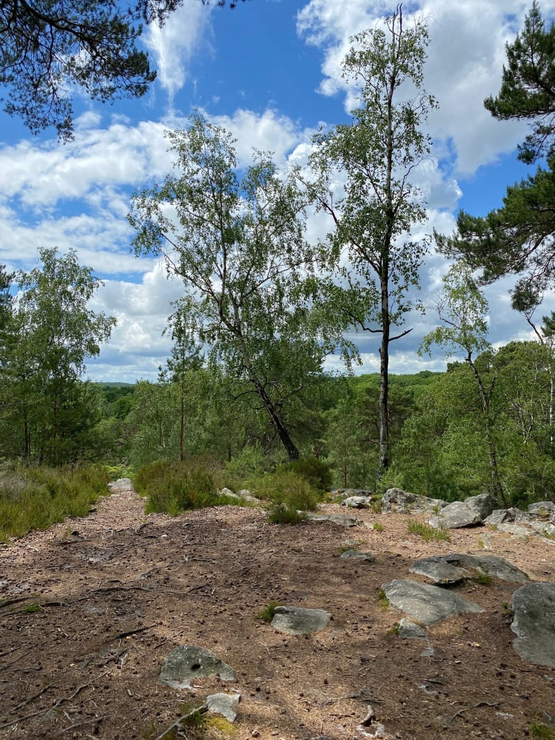 Entre bois et village de Poigny la forêt - Poigny-la-Forêt