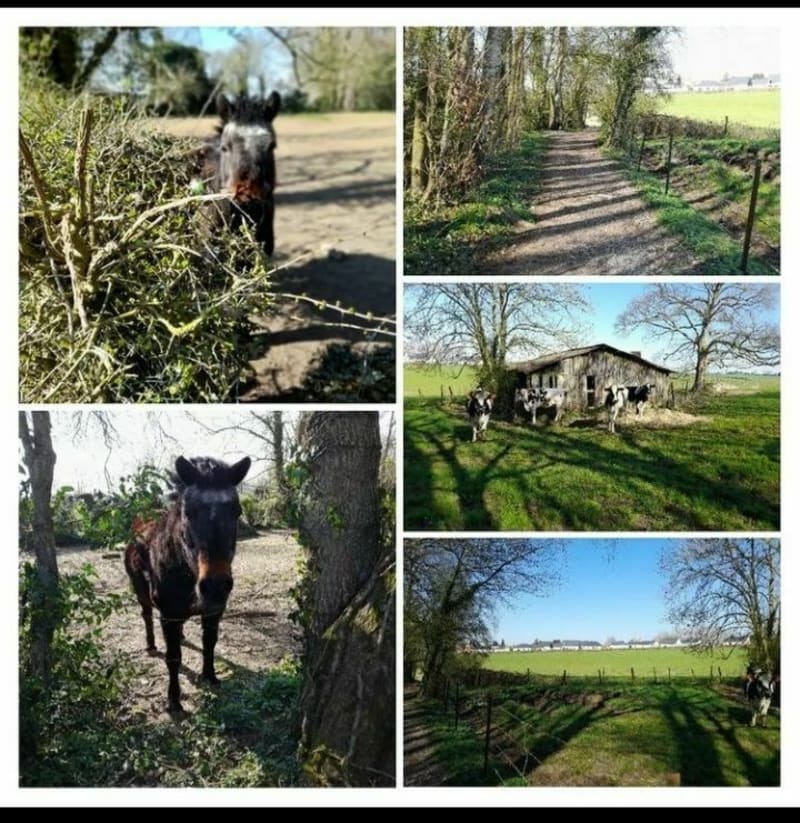 Parcours santé Buchy - Buchy