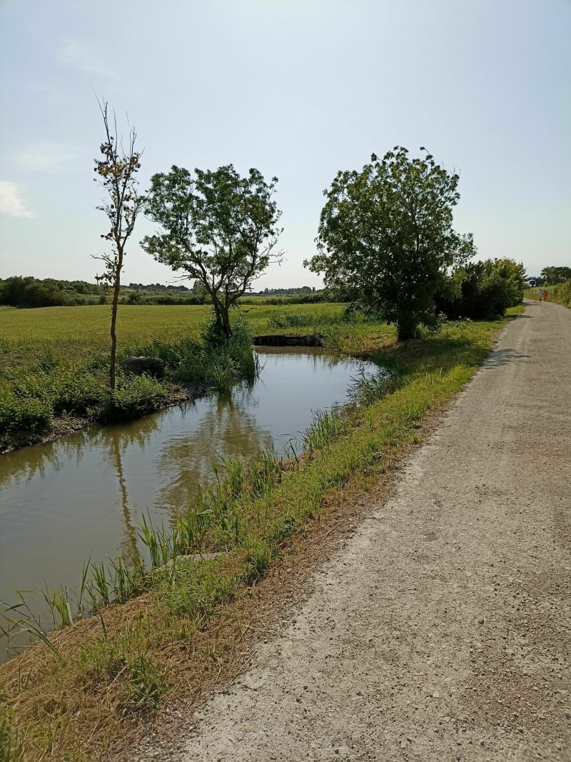 Promenade le long du canal - Châtelaillon-Plage