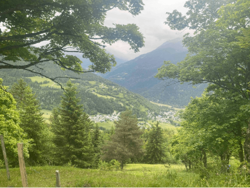 Bourg-Saint-Maurice : trip de folie autour du bois des Bochères - Bourg-Saint-Maurice