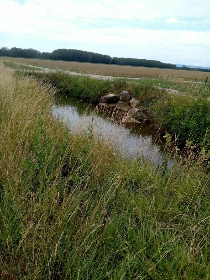 Balade en plaine Le Tartre / Frangy-en-Bresse - Le Tartre