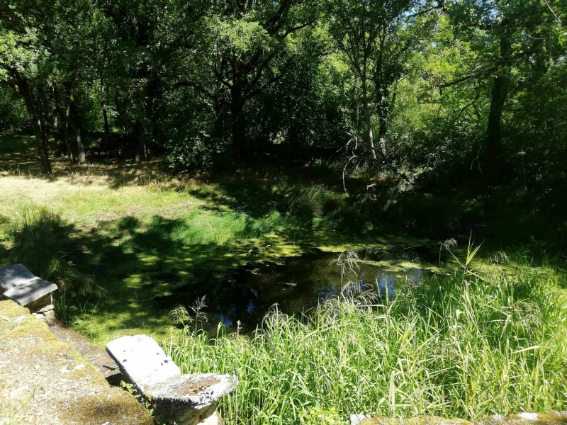 Lac de Cregols - Limogne-en-Quercy