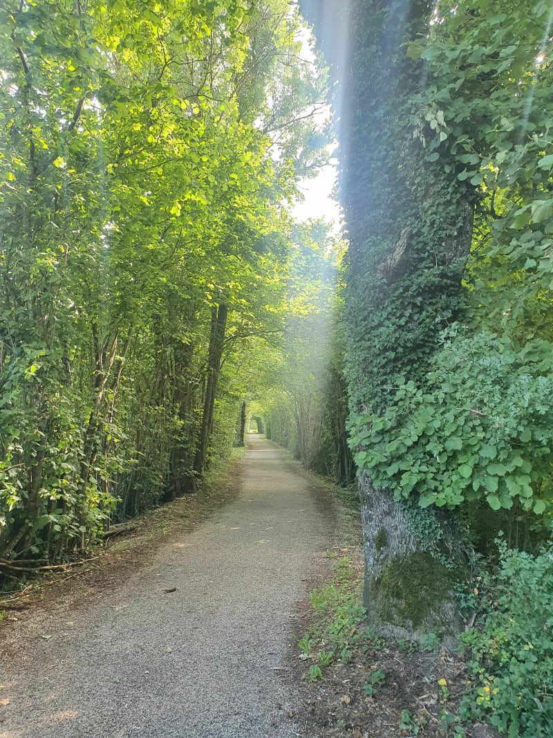 Entre ombres et lumières - Brangues