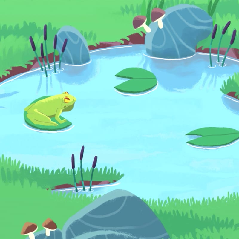 Petit BamBou: Méditation autour des Marais de la Sensée - Lécluse