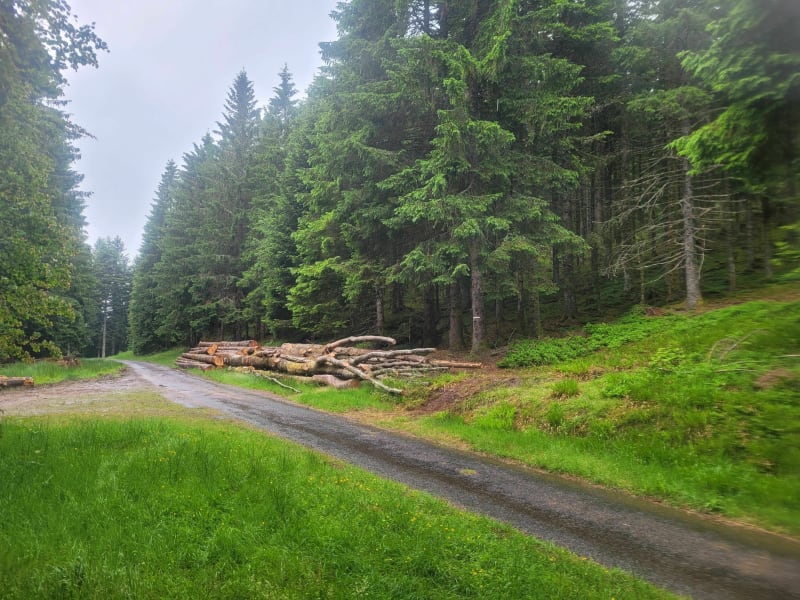 Freestyle sous la pluie à VTT autour de Gérardmer - Xonrupt-Longemer