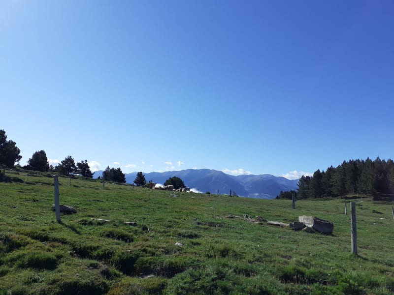 Randonnée paisible au pied du Roc de la Calma - Font-Romeu-Odeillo-Via