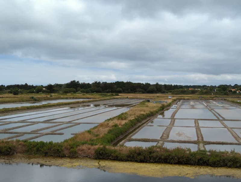 Excursion autour de la réserve naturelle de Müllembourg - Noirmoutier-en-l'Île