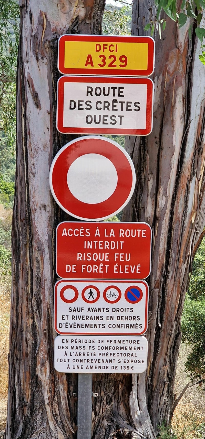 De bergkamweg van Bormes-les-Mimosas - Le Lavandou