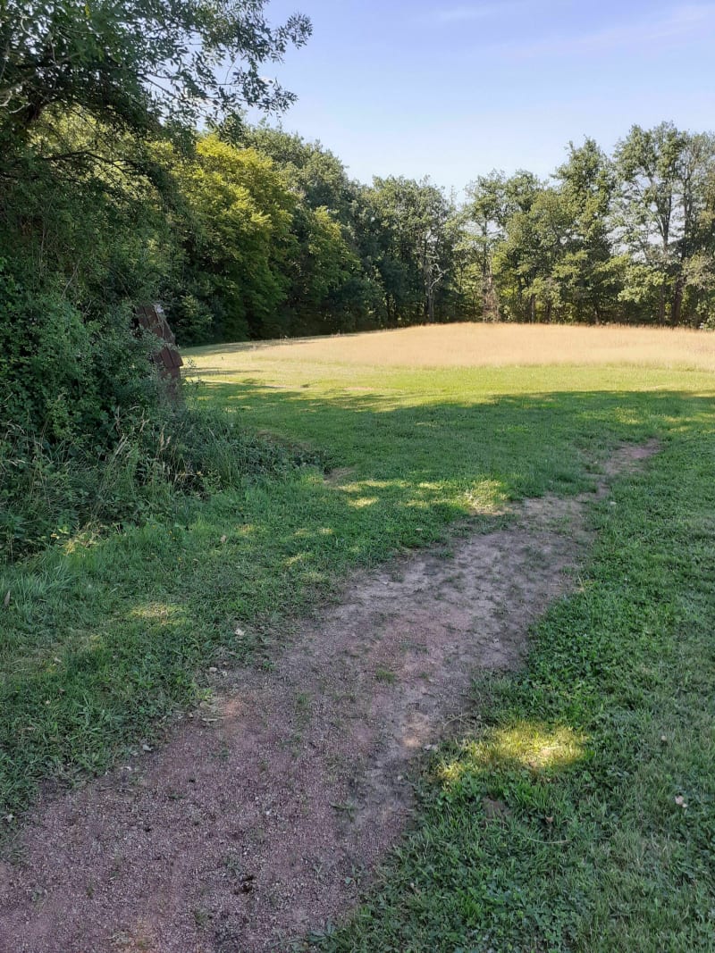 Marche nordique à Dommartin - Dommartin