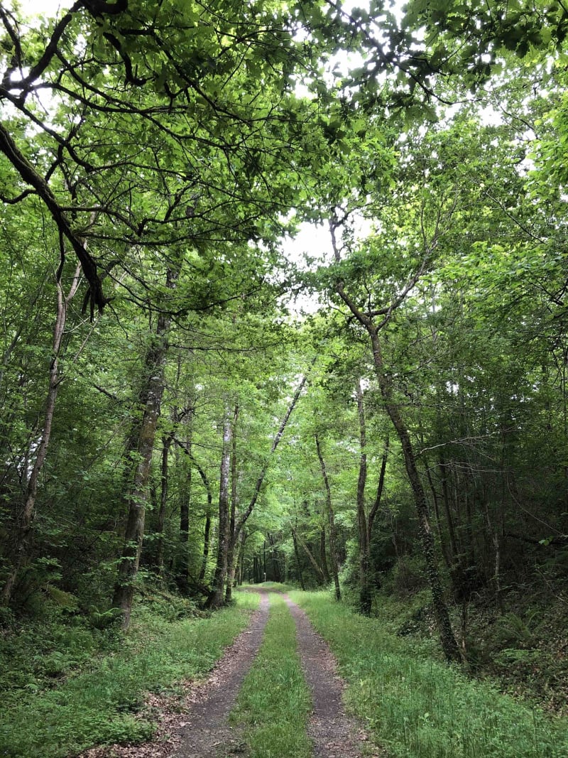 Chemin des marais et nature gersoise - Cazaubon