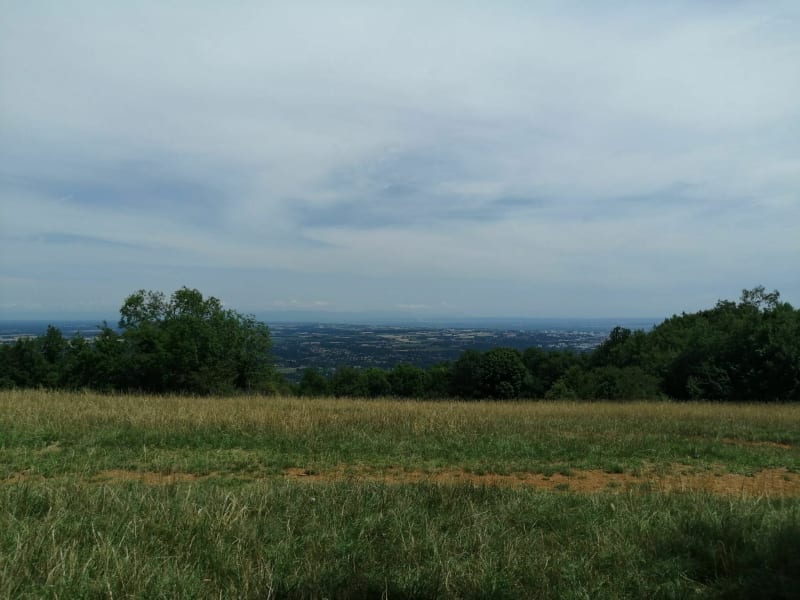 Fromentin au Mont Cindre dans les Mont d’Or - Saint-Didier-au-Mont-d'Or