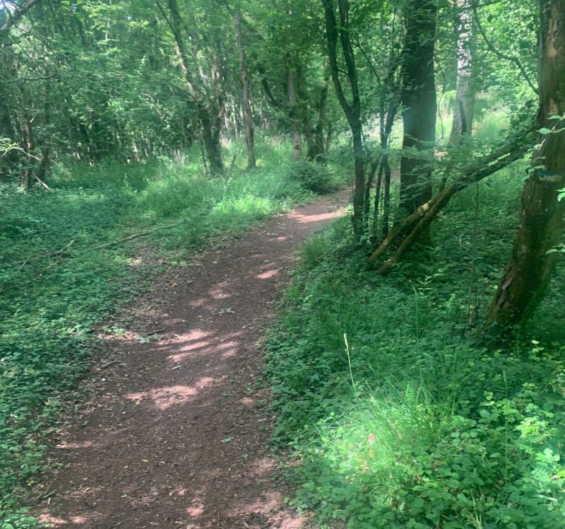 Belle balade en vtt au Bois de d'Avril - Val de Briey