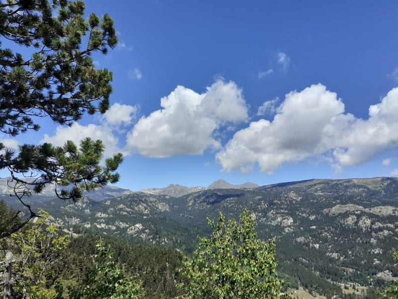 Evasion forestière au belvédère du Coll del Pam - Font-Romeu-Odeillo-Via
