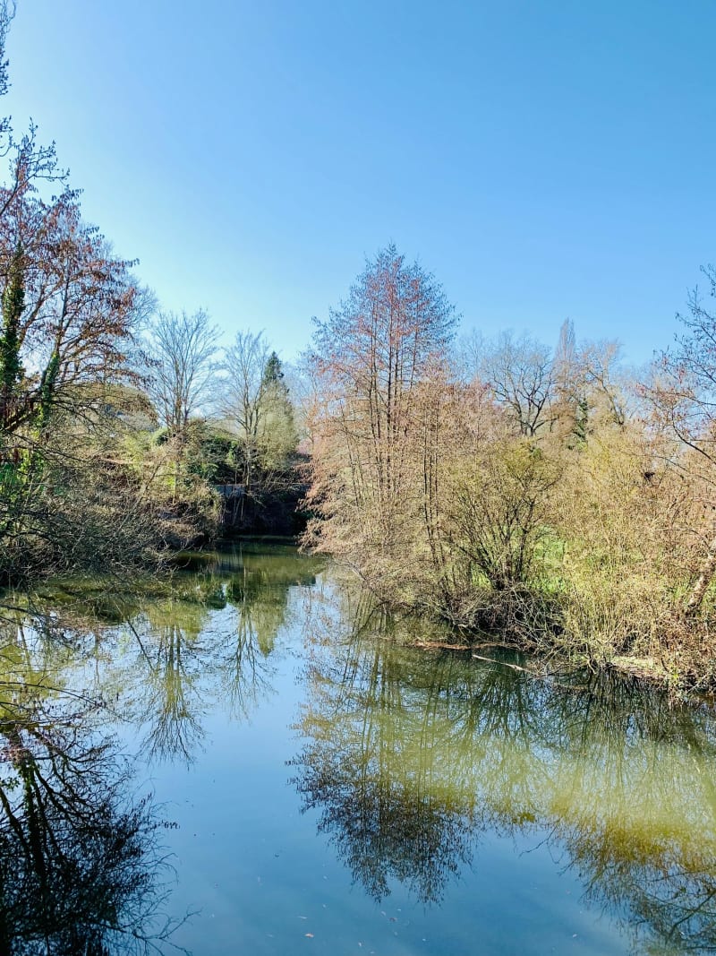 Les bords de La Moine - La Séguinière