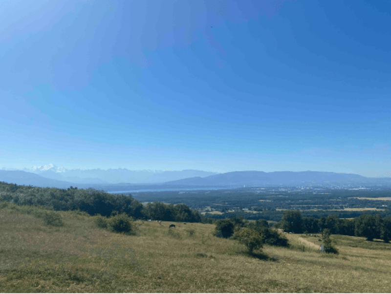 Bon plan à VTT au Mont-Mussy et au mont Mourex - Divonne-les-Bains