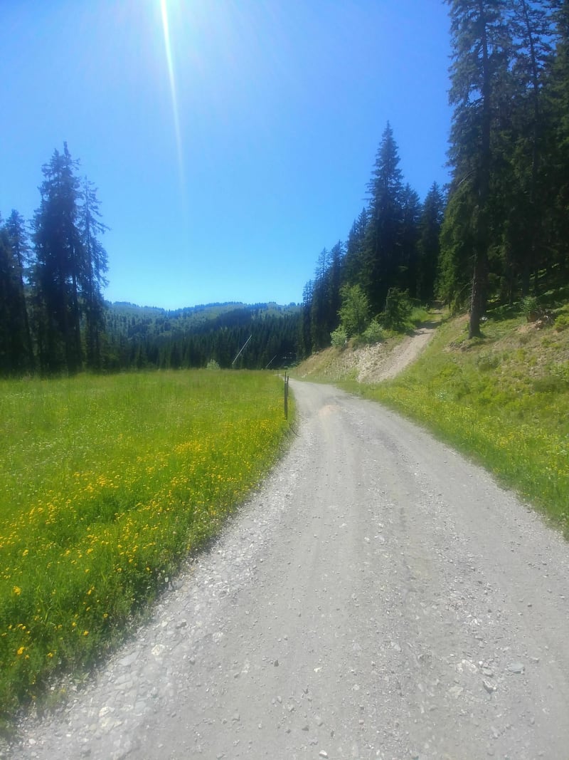 Col du Jaillet - descente vers le balle trap. - Megève