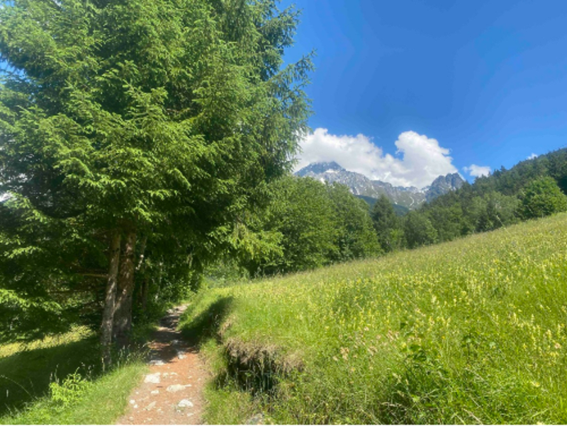 Rouler en toute liberté au coeur des gorges de Ballandaz - Bozel