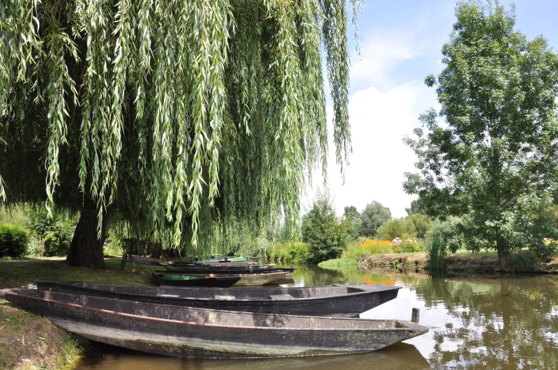 Visite du Marais Poitevin entre Coulon et Magné - Coulon