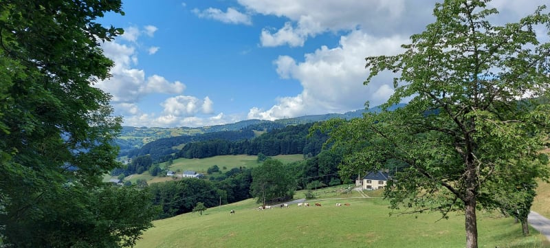 Du Faudé à la ferme des Immerlins - Orbey