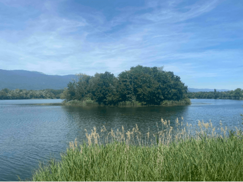 Tour du lac de Divonne et au marais des Bidonnes - Divonne-les-Bains