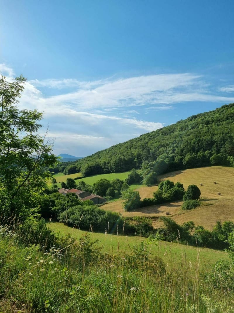 Les Tougnets - Villefort