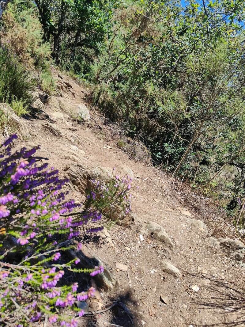 Claire - Trail Chantonnay - Chantonnay