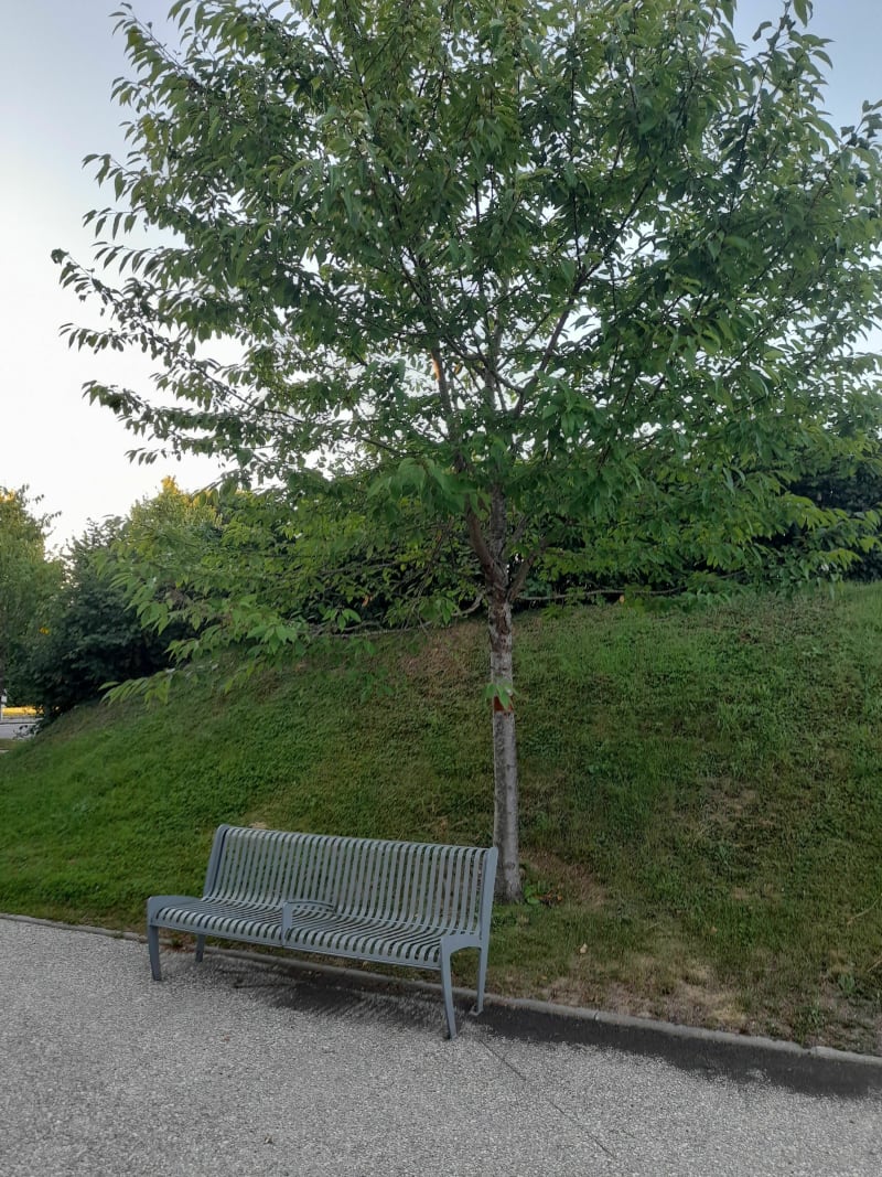 Route pour ton vélo de Route - Palaiseau