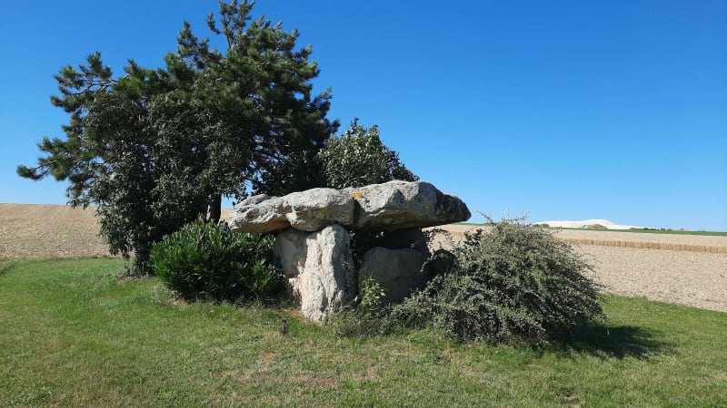 Fontaine-Denis-Nuizy (Marne), colonne et dolmen, le vignoble - Fontaine-Denis-Nuisy