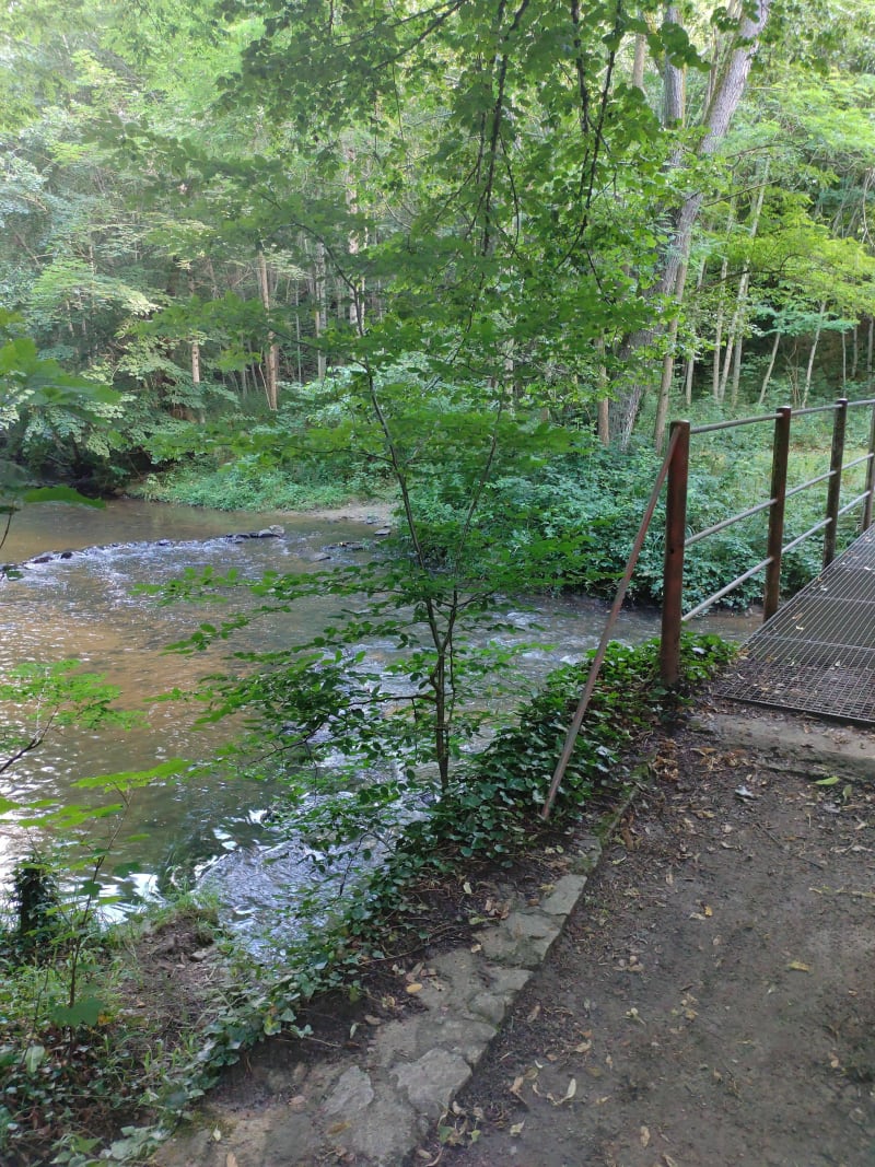 Petit tour à la rivière - Isle