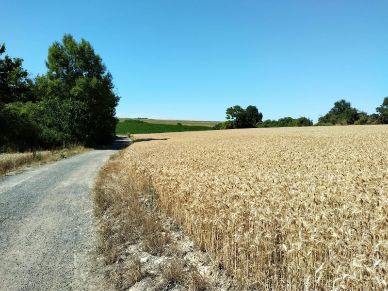 Champs, avions, bourg et forêt - Boissy-l'Aillerie