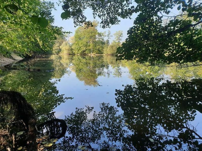 Etangs d'Epineau-les-Voves - Épineau-les-Voves