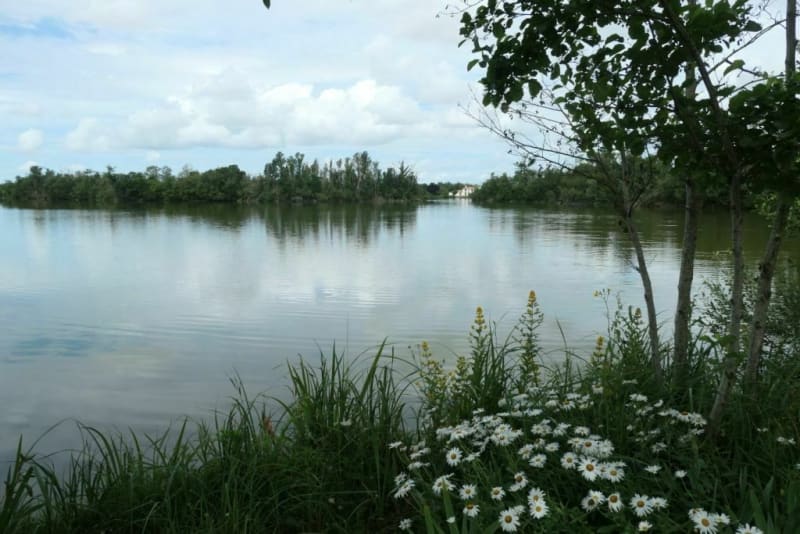 Les Marais de Vendée - L'Île-d'Elle