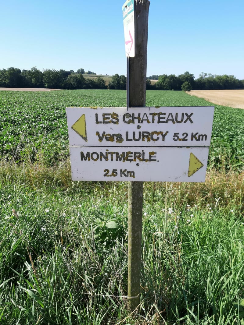 Balade en bordure de Saône puis vers Lurcy - Francheleins