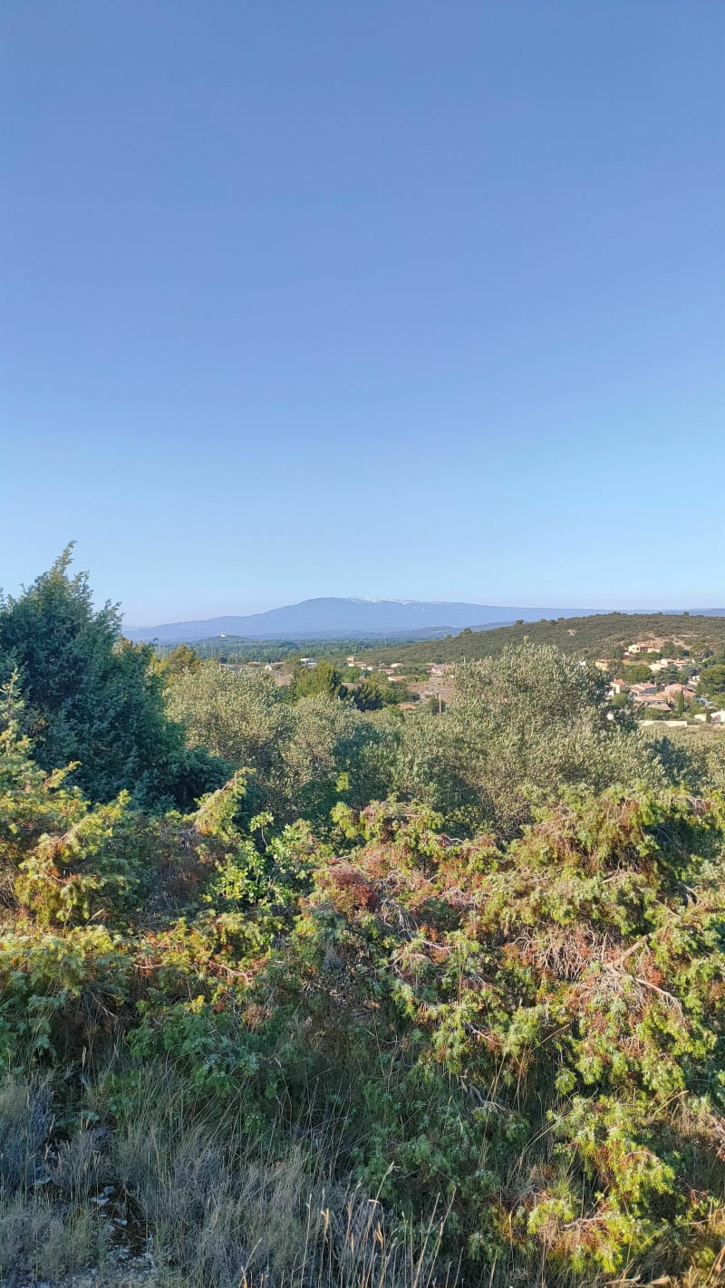 Petit tour colline Caumont - Caumont-sur-Durance