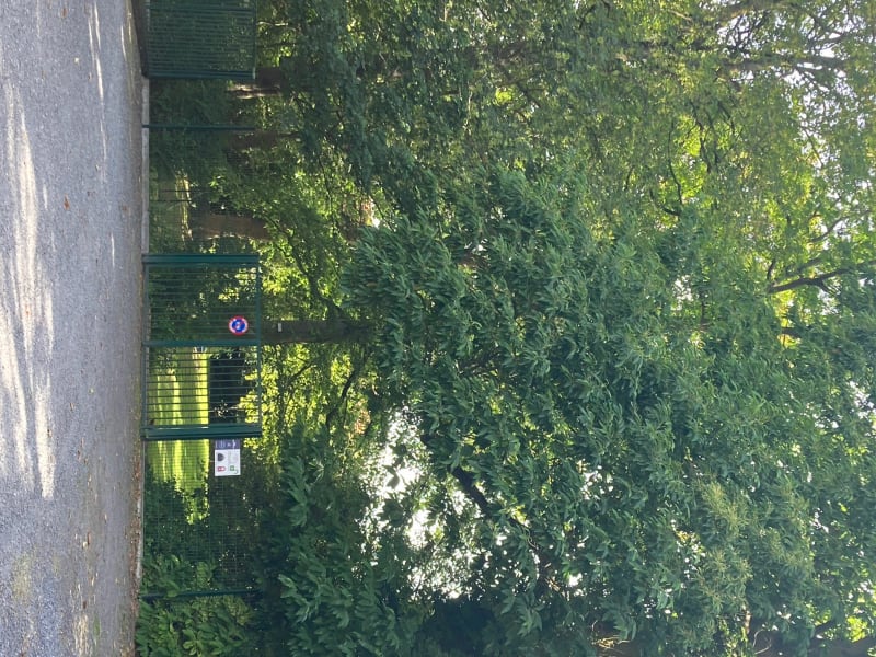 De Lille à Ascq - Lille