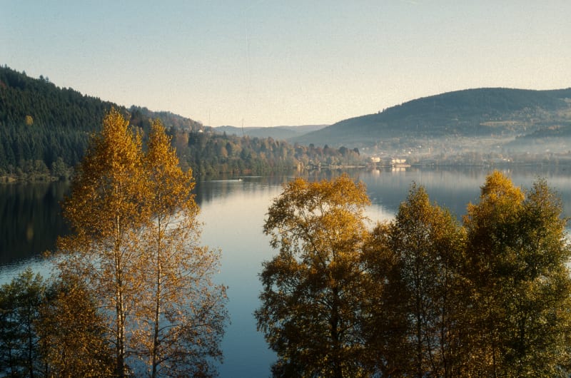 Balade par le Col de Sapois, au cœur de la forêt vosgiennes - Gérardmer