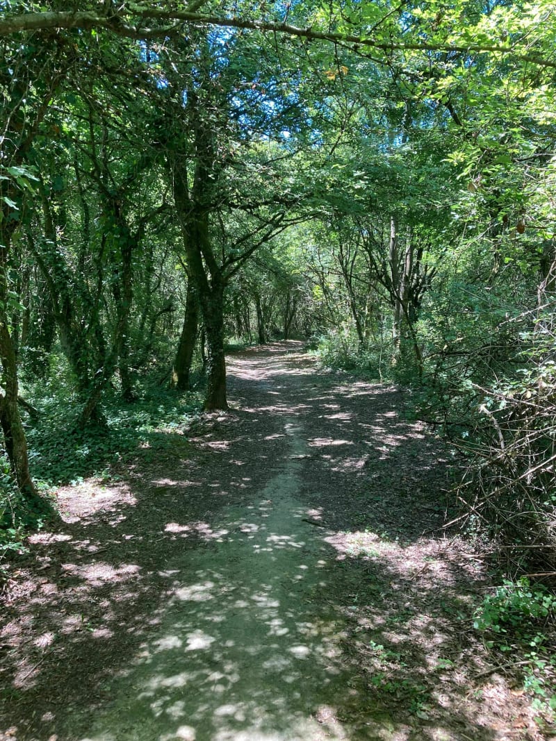 Boucle du Parc Brosset - Rillieux-la-Pape