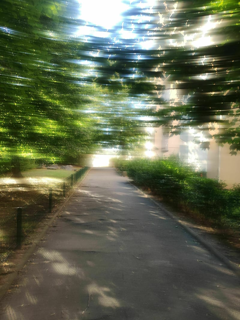 Balade touristique - Lingolsheim