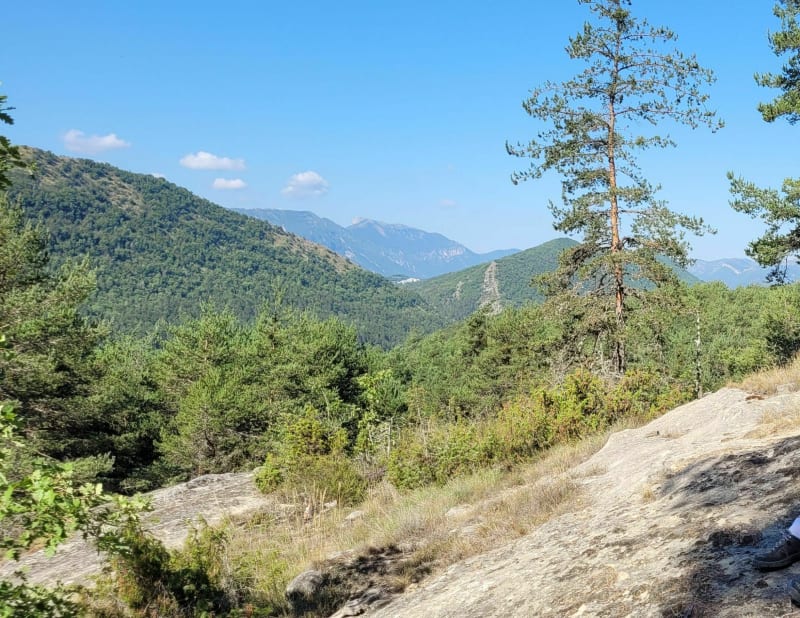 Saint Pierre, piste départementale de Cumi - Saint-Pierre