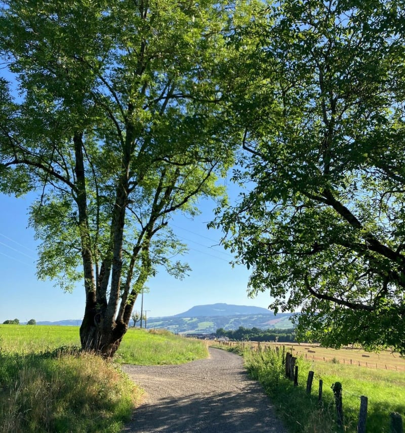 Balade entre La Combe et Bornachon - Sillingy