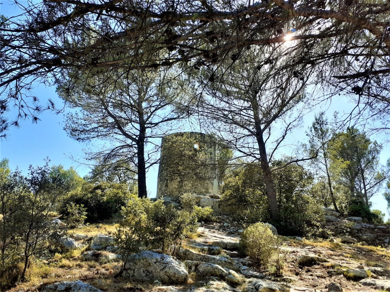 Evasion provençale sur les traces du vent et de l'eau - Fontvieille