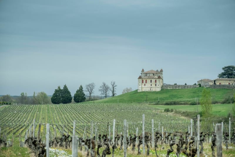 Les Sentiers Perdus de Saint-Émilion - Saint-Émilion