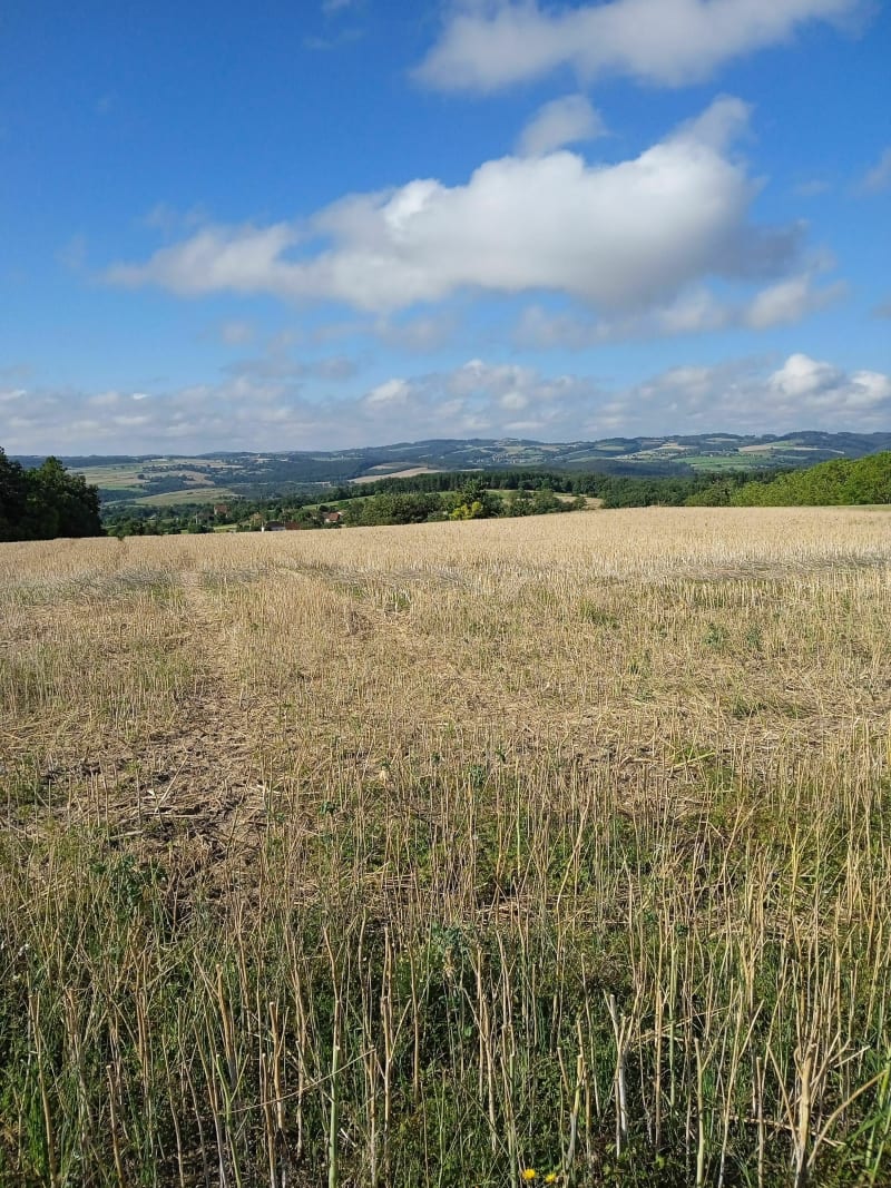 Plateaux au-dessus d'Ebreuil - Ébreuil