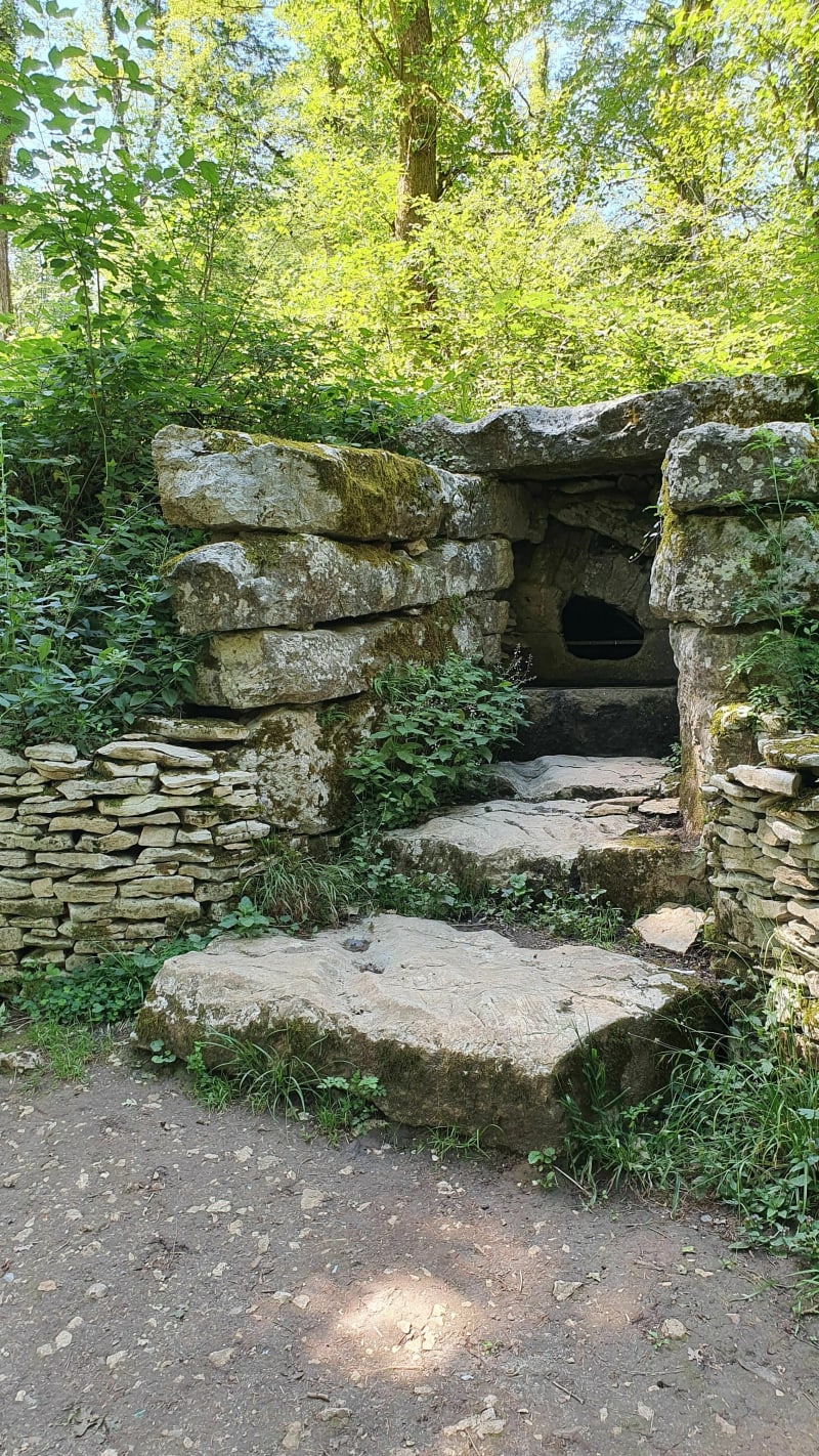 Balade dans la forêt de Chailluz - Besançon