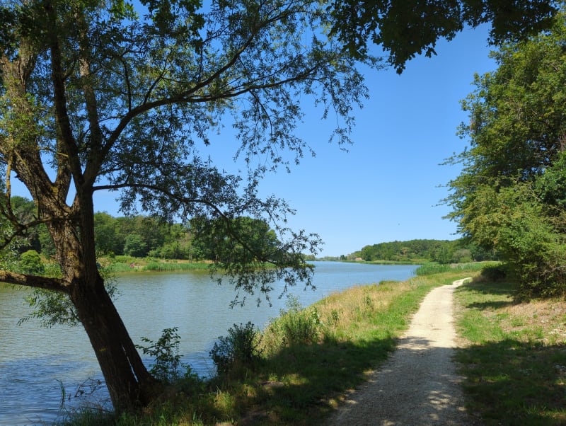Mettre son grain de selle à Rillé dans un cadre enchanteur - Rillé