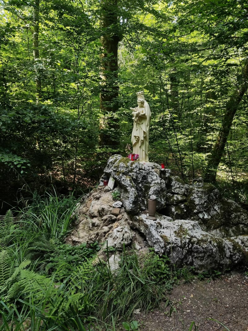 Balade en VTT en passant par la source des Frouchies - Saint-Dizier